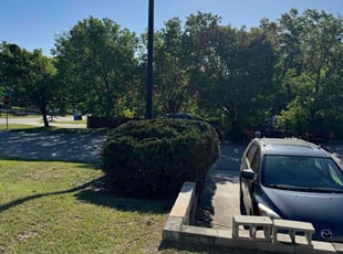 Bush Trimming by Kinnon Tatum for Candice G. in Fayetteville, NC