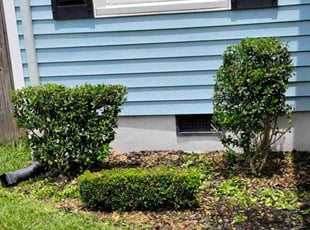 Erin C.'s Bush Trimming service result