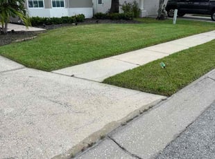 James Z.'s Lawn Maintenance service result
