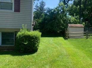 Jeannette T.'s Lawn Mowing Service service result