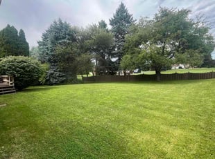 Mark T.'s Lawn Mowing service result