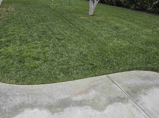 Craig C.'s Lawn Care service result