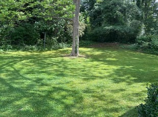 Ceray D.'s Lawn Maintenance service result