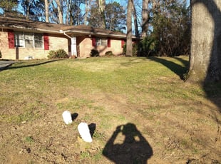 Leaf Removal by Rickey McCoy for Artemus H. in Atlanta, GA