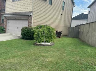 Ed S.'s Lawn Service service result