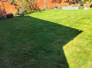 Megan Z.'s Lawn Mowing service result