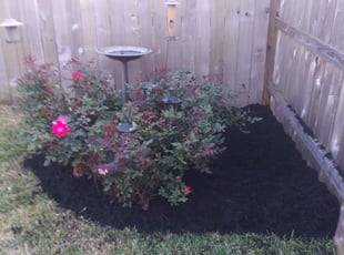 Mulching by Audrey Jumper for Michael E. in Pearland, TX