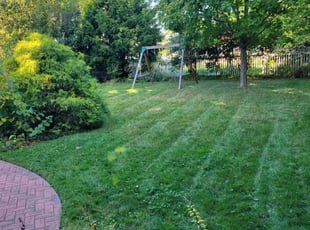 Lisa C.'s Lawn Care service result