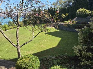 Kathy E.'s Grass Cutting service result