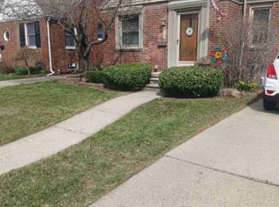 Weeding by Patrick Hamilton for Sarah H. in Dearborn, MI