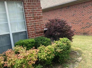 Bush Trimming by Monte Rasheed for Michael H. in Coalburg, AL