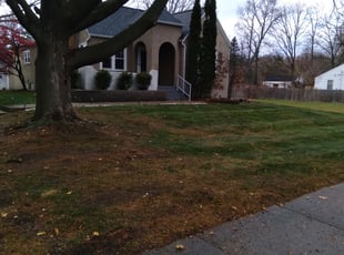 Leaf Removal by Jacob Jumper for Tonesa P. in Grand Rapids, MI