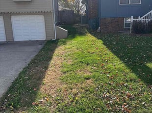 Leaf Removal by Jacob Russi for Steve C. in Lee's Summit, MO