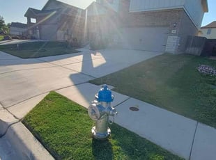 Pamela C.'s Lawn Mowing service result