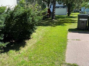 George R.'s Lawn Mowing service result