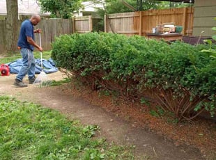 Bush Trimming by Lamont Howard for Emily G. in Columbus, OH