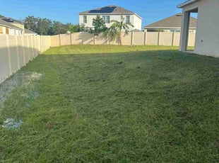 Tawana M.'s Lawn Mowing service result