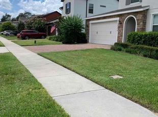 Jim K.'s Lawn Mowing service result