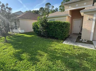 Bush Trimming by Efrain Marrero for Ellis R. in Zephyrhills, FL