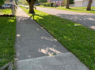 Damon S.'s Lawn Service service result