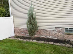 Weeding by Frank Henry for Maria R. in Parma, OH