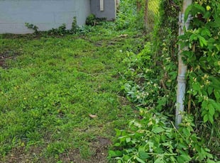 Bush Trimming by Matthew Dawson for Natashua P. in Hamilton, OH
