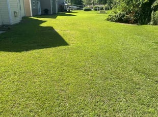 Denise H.'s Lawn Maintenance service result