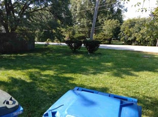 Bush Trimming by Shawn Jackson for Tim W. in Orland Park, IL