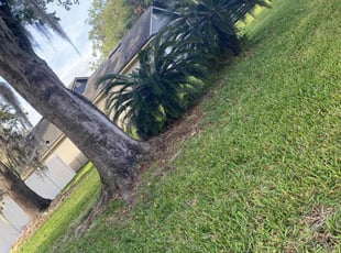 Todd B.'s Lawn Care service result