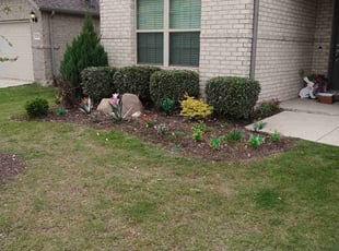 Bush Trimming by Daniel Sloan for Keila G. in Celina, TX