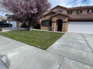 Deborah W.'s Grass Cutting service result