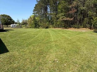 Allison O.'s Yard Cutting service result