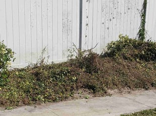 Cleanups by Curtis Campbell for Paula k. in Sarasota, FL