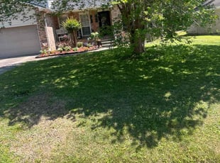 Leaf Removal by Jonathan Jones for Jameka T. in Slidell, LA