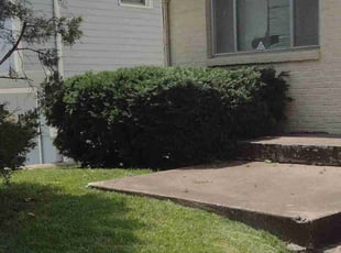 Bush Trimming by Jonathan Lightfoot for Marie H. in Kansas City, MO
