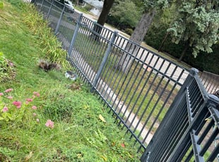 Weeding by Santos Blanco for Daniel D. in Minneapolis, MN