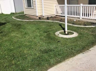Weeding by Shawn Beardall for Shelley B. in Spanish Fork, UT