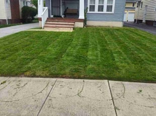 Patricia E R.'s Yard Cutting service result