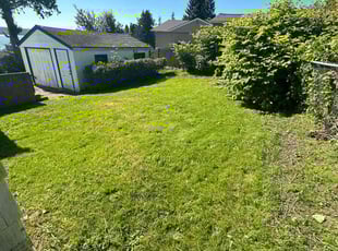 Debra L.'s Lawn Care service result
