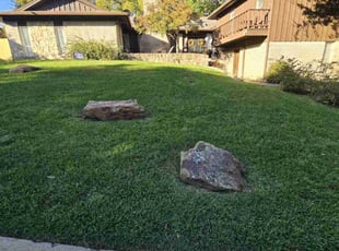 Ben C.'s Lawn Service service result