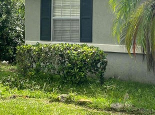 Bush Trimming by Quinton Davis for Joseph W. in Kissimmee, FL