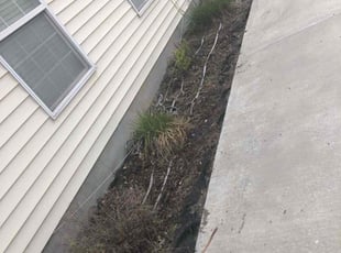Weeding by Shawn Beardall for Shelley B. in Spanish Fork, UT
