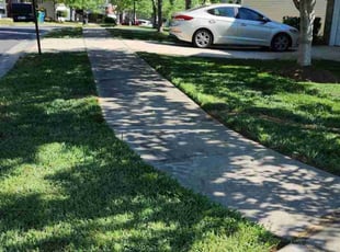 Sharon M.'s Lawn Service service result