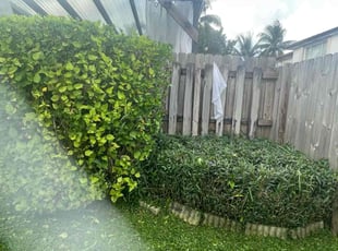 Bush Trimming by Lizett Chava for ELIZABETH F. in Miami, FL