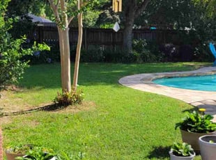 Magda L.'s Lawn Care service result