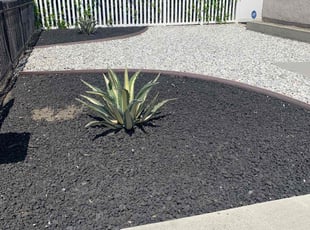 Weeding by Edgar Magallanes for Lee L. in Compton, CA