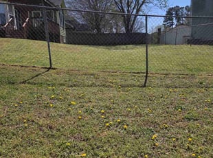 Weeding by Cory McLean for Mike B. in Garner, NC