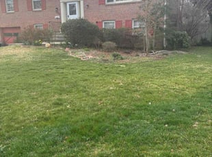Bush Trimming by candelario castillo for Kelena D. in Alexandria, VA