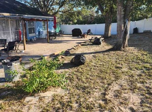 Leaf Removal by James Williams for Virginia G. in Orlando, FL