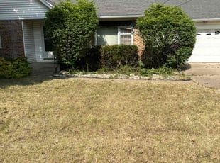 Bush Trimming by Ryan Cooper for Robert G. in Grand Rapids, MI